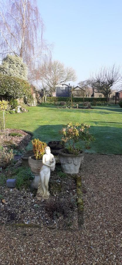 Dolly At Lowlands Ringwood Exterior photo