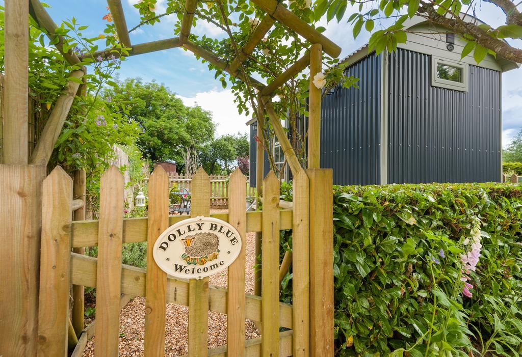 Dolly At Lowlands Ringwood Exterior photo